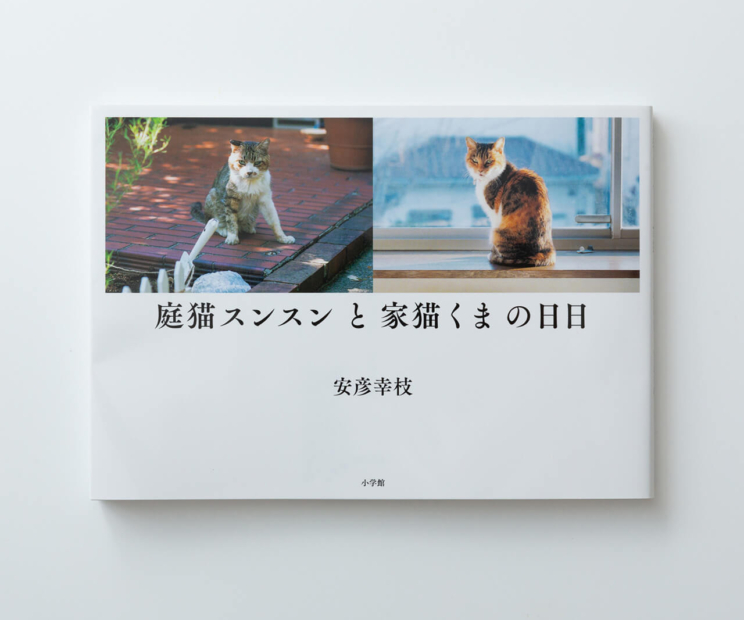 安彦幸枝写真展『庭猫スンスンと家猫くまの日日』